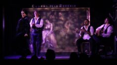 Privado: [ID: eN2LzPJSSgk] Youtube Automatic