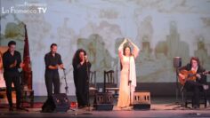 Privado: [ID: qPI5QN0AsDE] Youtube Automatic