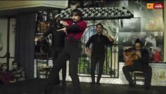 Privado: [ID: qPi8d7w4NBo] Youtube Automatic