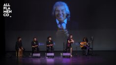 Privado: [ID: Qwhsw37hgww] Youtube Automatic