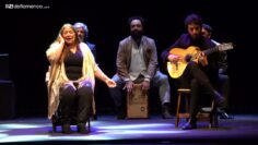 Privado: [ID: 4CGOc42jo3g] Youtube Automatic