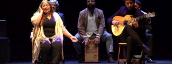 Privado: [ID: 4CGOc42jo3g] Youtube Automatic