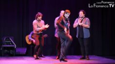 Privado: [ID: AqUswt0TeNU] Youtube Automatic