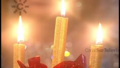 Privado: [ID: d8XzWWgQDvk] Youtube Automatic