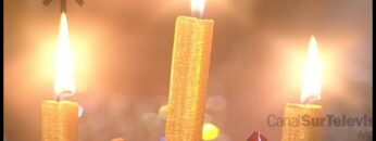 Privado: [ID: d8XzWWgQDvk] Youtube Automatic