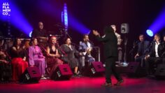 Privado: [ID: fg8vj3zMHbM] Youtube Automatic