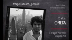 Privado: [ID: Gg5i79LdJqk] Youtube Automatic