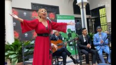 Privado: [ID: q9TJ48_y38s] Youtube Automatic