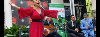 Privado: [ID: q9TJ48_y38s] Youtube Automatic