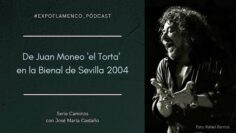 Privado: [ID: tbbK7OWgCvM] Youtube Automatic