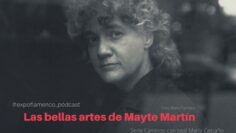 Privado: [ID: knic7QuhLi4] Youtube Automatic