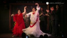 Privado: [ID: KW5LuvJd7p8] Youtube Automatic