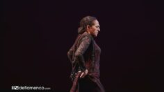 Privado: [ID: pGahzNihoZY] Youtube Automatic