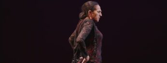 Privado: [ID: pGahzNihoZY] Youtube Automatic