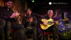 Privado: [ID: rWr3VODmBQE] Youtube Automatic