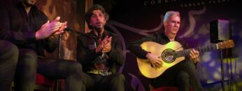 Privado: [ID: rWr3VODmBQE] Youtube Automatic