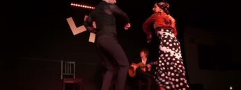 Privado: [ID: tRSVAgadSGc] Youtube Automatic