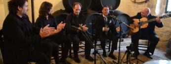 Privado: [ID: VqyrFZTRB84] Youtube Automatic