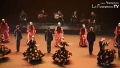 Privado: [ID: 6Pp53QqkB4g] Youtube Automatic