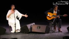 Privado: [ID: cYiK1V_hU9Y] Youtube Automatic