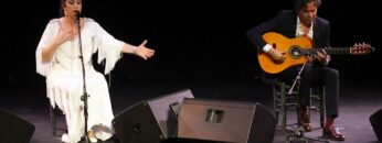 Privado: [ID: cYiK1V_hU9Y] Youtube Automatic