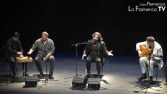 Privado: [ID: dDAHRHN47L4] Youtube Automatic