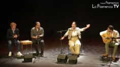 Privado: [ID: hh8UQ3JEs7U] Youtube Automatic