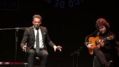 Privado: [ID: hws31gasTzE] Youtube Automatic