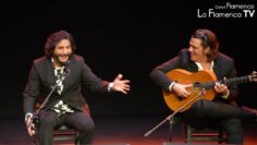 Privado: [ID: mQ_sqJeyz5U] Youtube Automatic