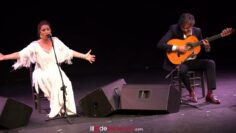 Privado: [ID: NIqRuKn8K68] Youtube Automatic