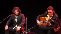 Privado: [ID: v_jN_K17gPY] Youtube Automatic