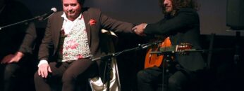 Privado: [ID: wrfpZwlRRaM] Youtube Automatic