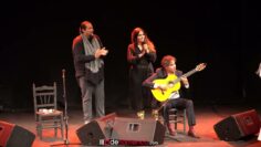 Privado: [ID: ziaGul33LHA] Youtube Automatic