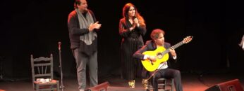 Privado: [ID: ziaGul33LHA] Youtube Automatic