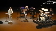 Privado: [ID: 3_jBetEM9R4] Youtube Automatic