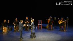 Privado: [ID: 5tLiCy-czYU] Youtube Automatic