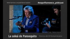 Privado: [ID: edyL71spj1o] Youtube Automatic