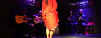 Privado: [ID: j-zJ6gl0VaA] Youtube Automatic