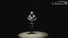 Privado: [ID: k36NwrksKxU] Youtube Automatic