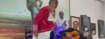 Privado: [ID: ny_CMURoURc] Youtube Automatic