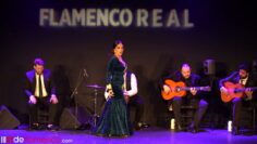 Privado: [ID: oSMulmLGEAY] Youtube Automatic