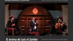 Privado: [ID: RhaDD3X82AY] Youtube Automatic