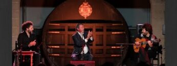 Privado: [ID: RhaDD3X82AY] Youtube Automatic