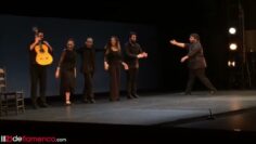 Privado: [ID: TlPqou3HTPw] Youtube Automatic