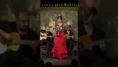 Privado: [ID: ue6g20HdkXk] Youtube Automatic