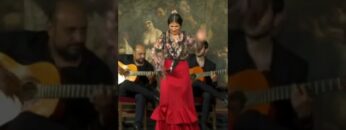 Privado: [ID: ue6g20HdkXk] Youtube Automatic