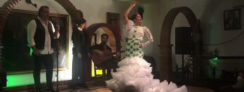 Privado: [ID: UOnRKcsGfwI] Youtube Automatic