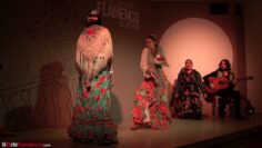 Privado: [ID: _Wck4rHd_c0] Youtube Automatic