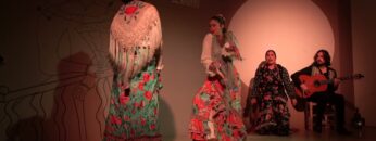 Privado: [ID: _Wck4rHd_c0] Youtube Automatic