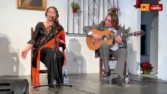 Privado: [ID: X7Sr7SRCoFs] Youtube Automatic